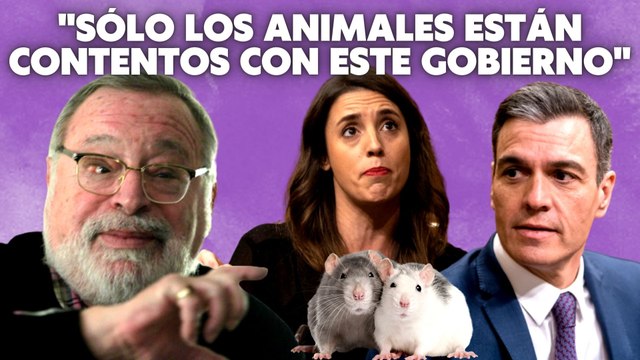 Fernando Savater carga contra Sánchez: Sólo los animales están contentos con este Gobierno