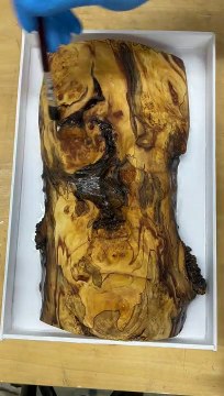 Finishing with resin - Woodworking Skills #woodtok #shorts #woodworking #asmr #asmrsounds