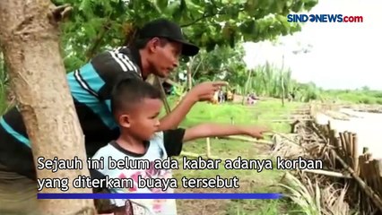 Usai Banjir, Teror Buaya Hebohkan Warga Pandeglang