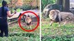 15 Zoo Moments You Wouldn't Believe If Not Filmed