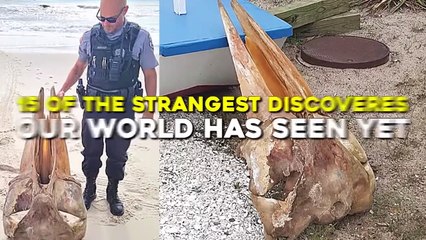 20 Strange Discoveries That Will Leave You Confused