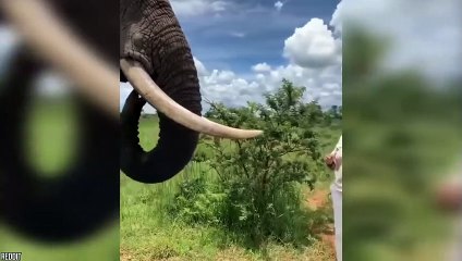 20 Moments if Not Filmed You Wouldn't Believe