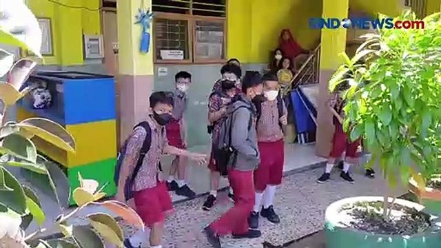 Evakuasi Sarang Tawon Vespa di SDN 4 Parepare Berlangsung Dramatis