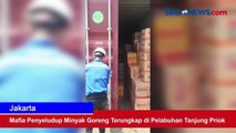 Mafia Penyelundup Minyak Goreng Terungkap di Pelabuhan Tanjung Priok