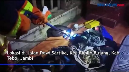 Ular Kobra Masuk Kamar Warga di Jambi,  Petugas Nyaris Dipatuk saat Evakuasi