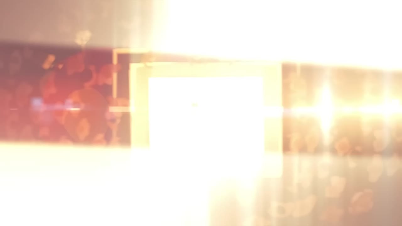 Agent Elvis : Trailer