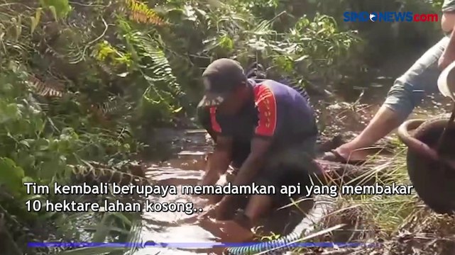 10 Hektare Lahan Terbakar di Aceh Singkil, Damkar Berjibaku Padamkan Api