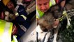 Husky found alive under rubble 23 days after Turkey earthquake