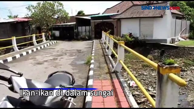 Diduga Tercemar Limbah Industri Sablon, Sungai di Denpasar Memerah