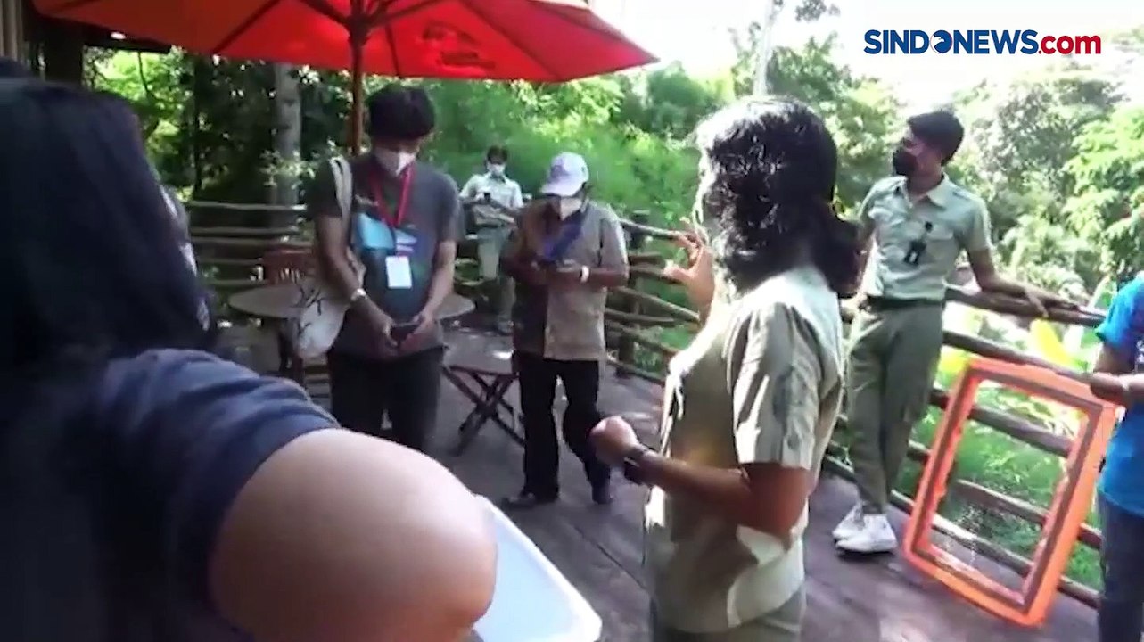 16 Bayi Komodo Menetas Alami di Kebun Binatang Bali Safari