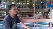 5 Kambing Milik Warga Depok Dicuri, Pelaku Tinggalkan Isi Perut dalam Kandang