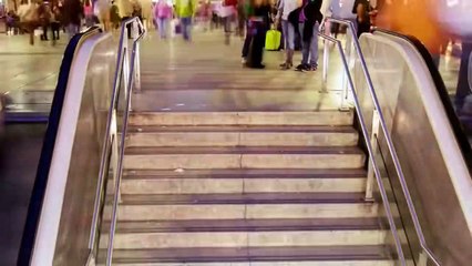 16 Animals Who Are The Biggest Of Their Kind!