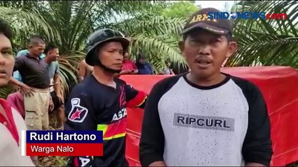 Скачать видео: Harimau Peneror Warga Merangin Masuk Perangkap BKSDA Jambi