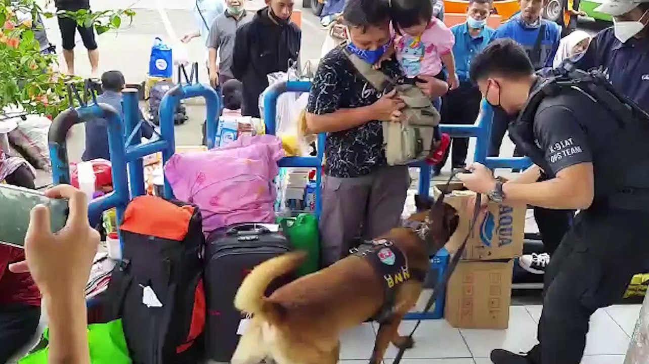 Antisipasi Peredaran Narkoba, BNN Lakukan Pemeriksaan dengan Anjing Pelacak di Terminal Kampung Rambutan