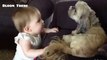 Animals Love Babies - Cute Babies & Animals Compilation
