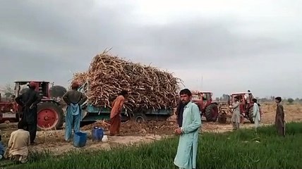 Tractor driver ki viral videos Pakistan