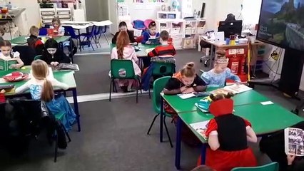 The Masked Reader and Fantastic Mr Fox as a potato - Watch as Sunderland children celebrate World Book Day