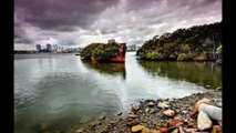 Amazing Floating Forest In Sydney