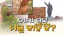 Bhubaneswar beautification scam- Funds for expensive decorative plants embezzled!