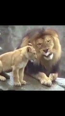 Go Back To Sleep Son