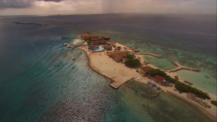 7 Best Aruba All inclusive Resorts