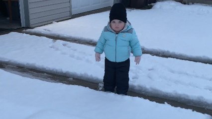 Baby girl realizes that playing in the snow isn't a cakewalk