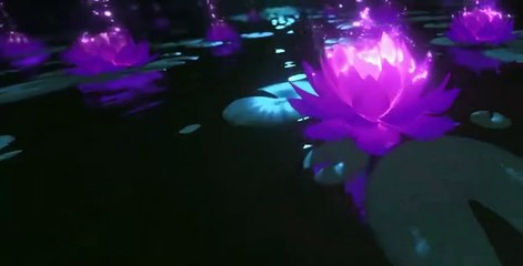 Dota: Dragon's Blood S02 E008