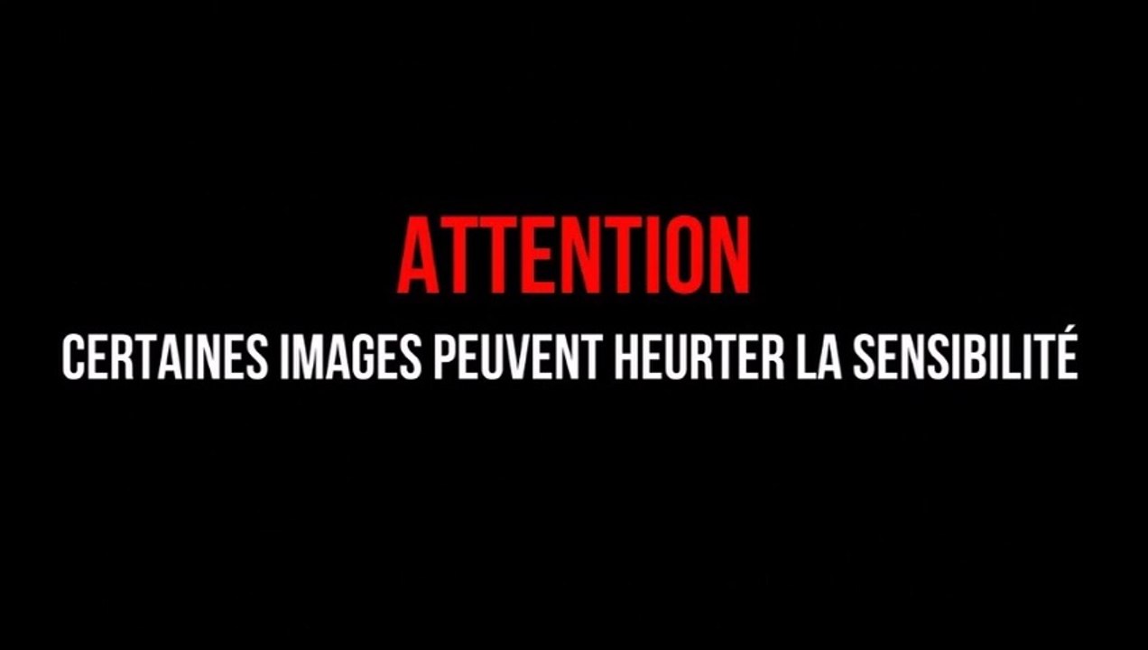 Après un an de guerre ? Des ukrainiens témoignent...