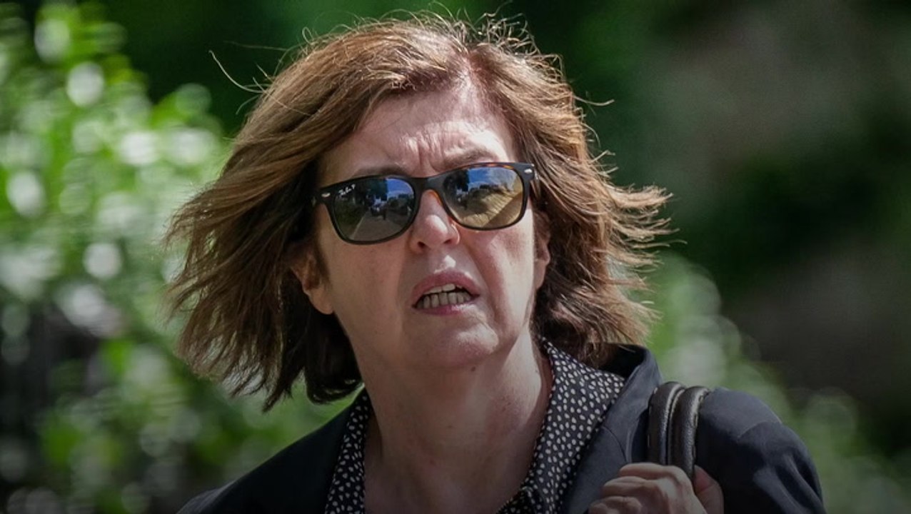 Sue Gray Partygate investigation chief quits Office in hope of