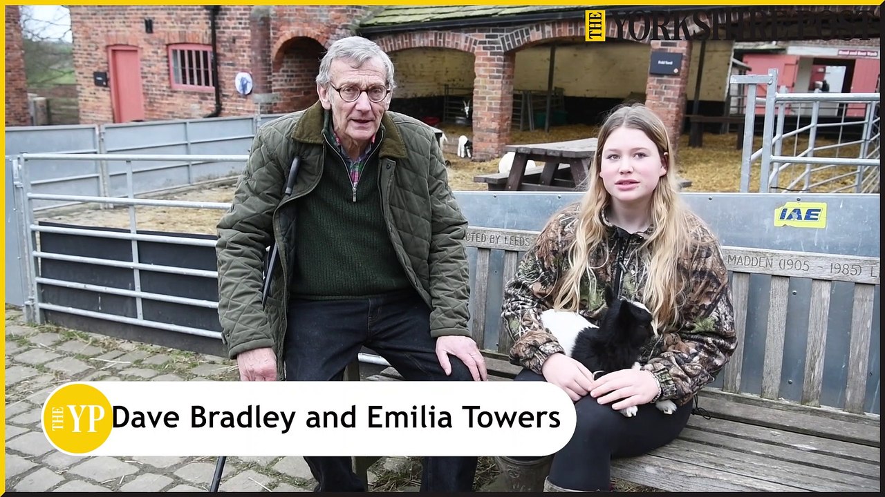 Temple Newsam Farm show off their new baby animals video Dailymotion