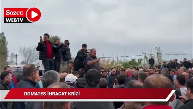 Domateste ihracat krizi, üretici Muğla – Antalya yolunu kapattı