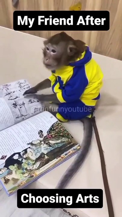 The bakwas tag, The bakwas motivational, The motivational video, Comedy video, Funny jokes video, Song, American comedy, Indian comedy, Comedy, Facebook statusWhatsApp WhatsApp, , All status Instagram status, Bhakti song, Comedian song, New musical song c