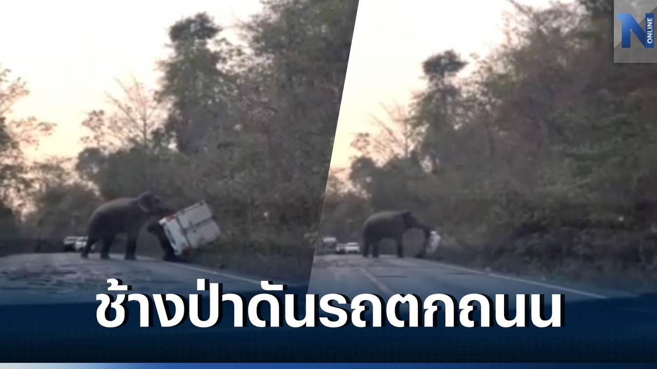 นาทีระทึก! "ช้างป่า" ดันรถกระบะตู้ทึบตกข้างทาง (มีคลิป)