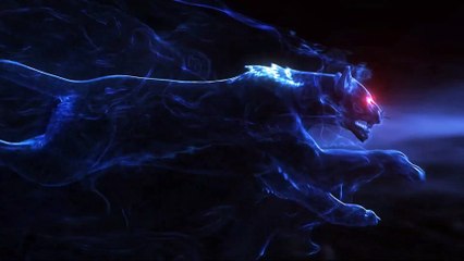 DriverGenius USBC Multicard Reader Writer HB081 (Review)