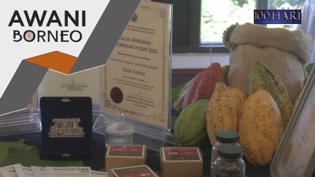 Industri Pertanian | Sabah pengeluar utama koko di Malaysia - Aminah