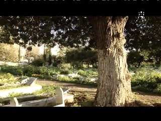 قلوب تحت الرماد -   حلقة  30    و الأخيرة