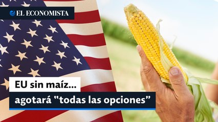 EU Promete Agotar Todas las Opciones para Resolver Conflicto con México por Restricciones al Maíz 🌽