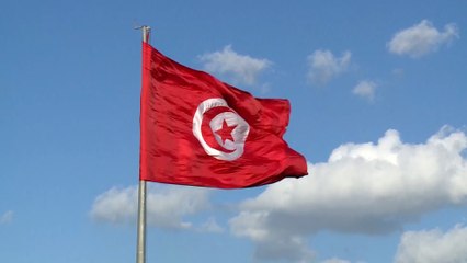 المنظمة النقابية في تونس تعتزم تنظيم تجمع عمالي السبت المقبل