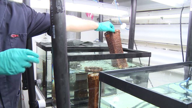 02 mars TOPO LPM Annonce ministre peche BREVE