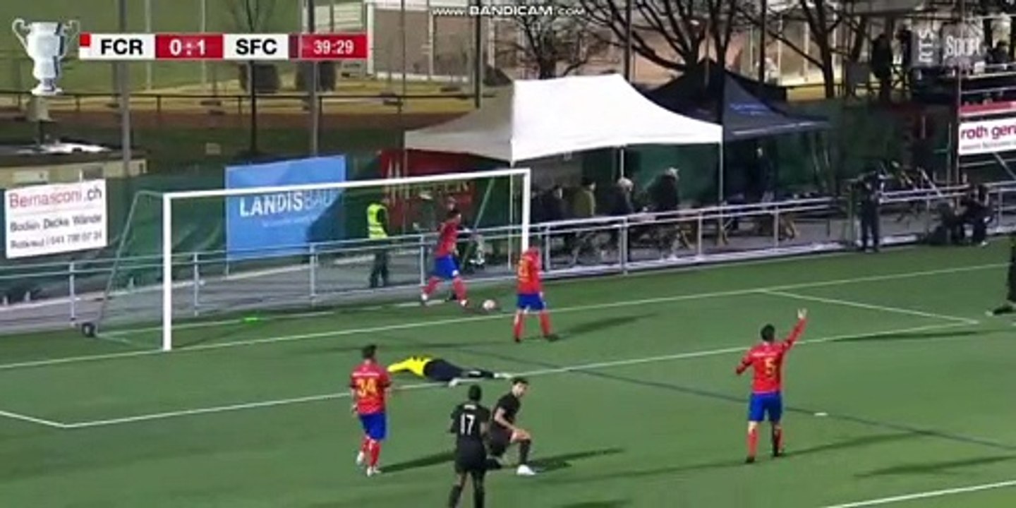 Stevanovićgol