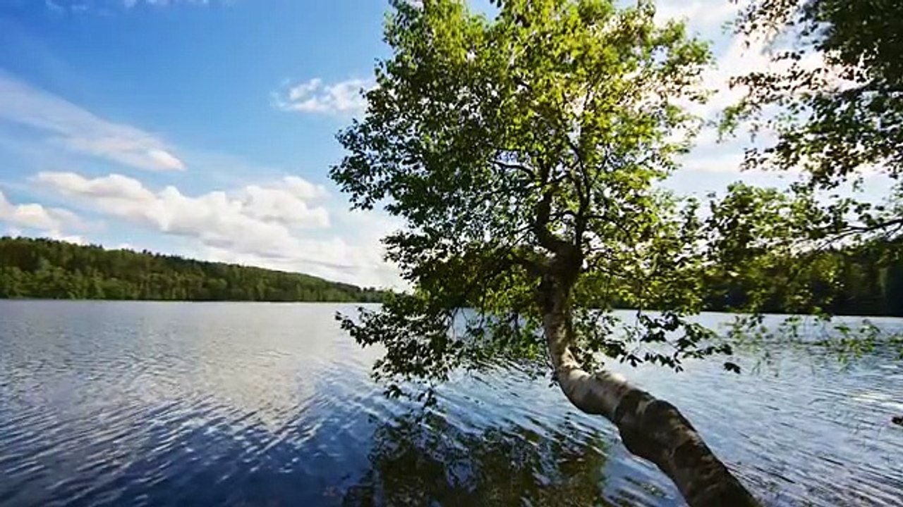 30 Minute Calming Music Sleep Hypnosis, Power Nap, Dream Music, Deep Sleep - PVG