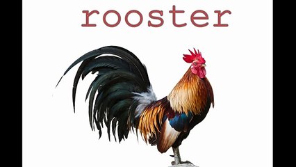 Animal sounds funny voice for kids