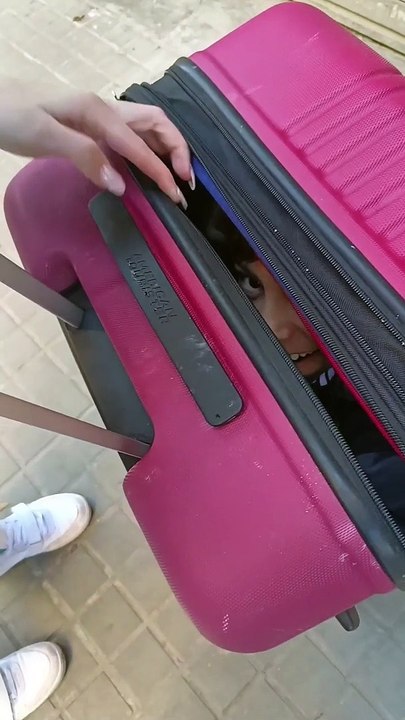 Son in a Suitcase