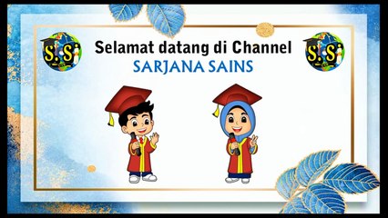 Jenis-jenis Akar pada Tumbuhan