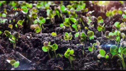 ویژه برنامه آینه - جمعه 12 اسفند 1401