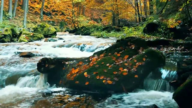 Beautiful Piano Music - Soothing Piano Music For Stress Relief, Calming, Peaceful Relaxation _