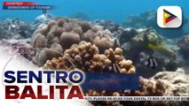 Pilipinas, kinilalang 'Best Dive Destination' sa isang diving, resort and travel show sa Malaysia