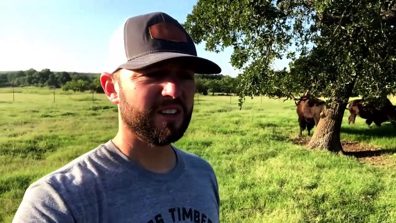 Establishing a bison herd on your own!