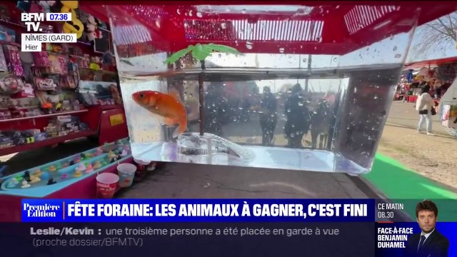 Des défenseurs de la cause animale militent pour l'interdiction des animaux à gagner dans les fêtes foraines