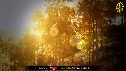 Read Surah Fatiha like this on 3 black peppers - The biggest worries of life will disappear - IT